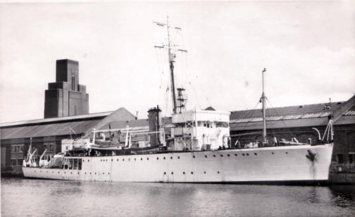 HMS Shackleton Survey Ship (ex HMS Sharpshooter)